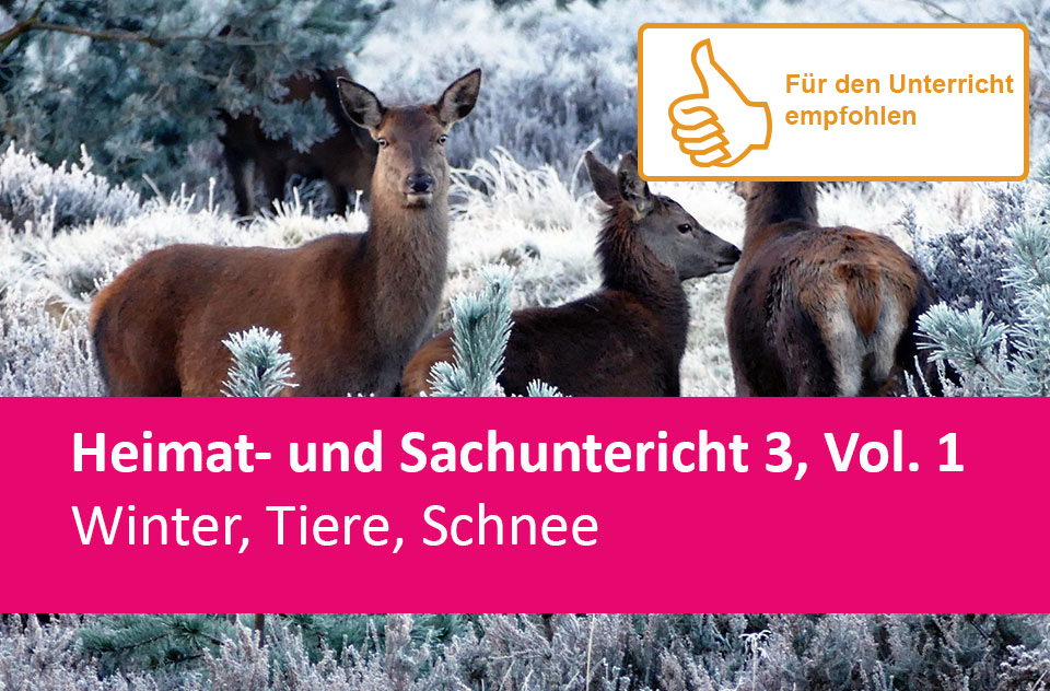 Preview image for Winter, Tiere, Schnee39