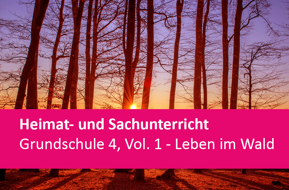 Preview image for Leben im Wald31