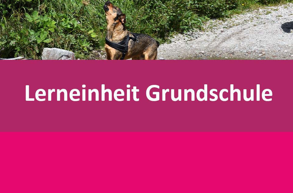 Preview image for Der Haushund30