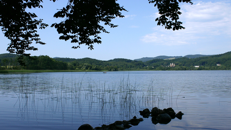 Vorschaubild für Rheinland-Pfalz