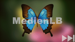 Animiertes Vorschaubild für Heimische Schmetterlinge53