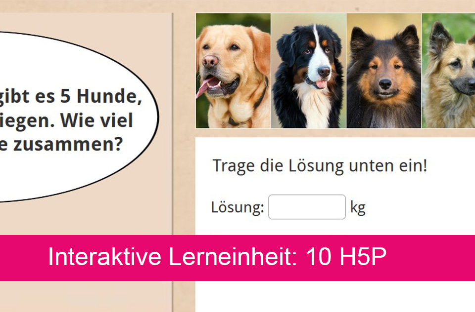 Vorschaubild für Lerneinheit Mathematik 442